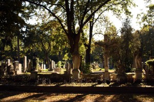 Kreuze auf dem Wiener Zentralfriedhof